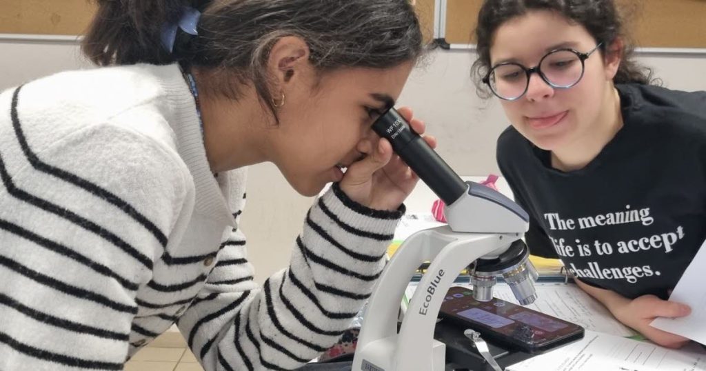 Sélestat : le collège Beatus propose une section dédiée aux sciences pour les élèves.