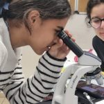 Sélestat : le collège Beatus propose une section dédiée aux sciences pour les élèves.