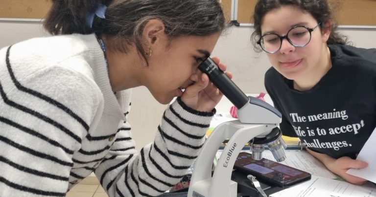 Sélestat : le collège Beatus propose une section dédiée aux sciences pour les élèves.