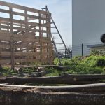 Les élèves Segpa du collège Mentel à Sélestat construisent une cabane pour renforcer leur confiance.