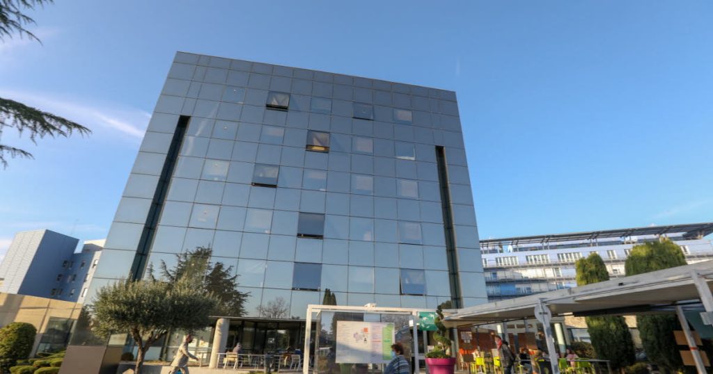L’hantavirus en Drôme-Ardèche : des experts affirment que la crainte n’est pas justifiée