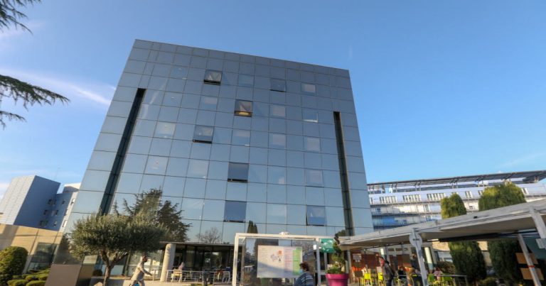 L’hantavirus en Drôme-Ardèche : des experts affirment que la crainte n’est pas justifiée