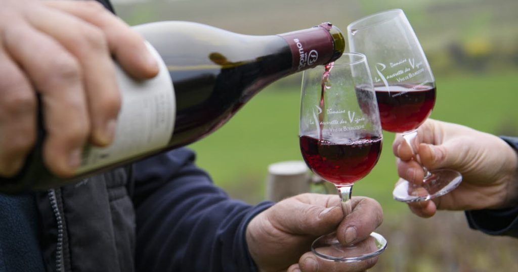 Le Guide Michelin évalue les vins de Bourgogne et du Bordelais pour 2023.