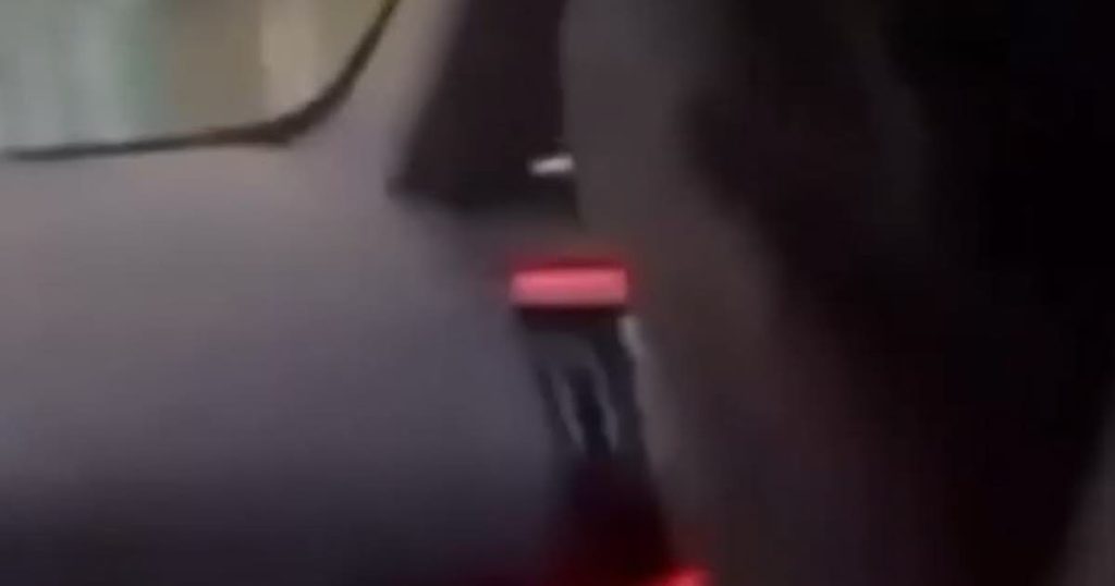 Fusillade à Mistral à Grenoble : un mort et trois blessés, vidéo de revendication en ligne.