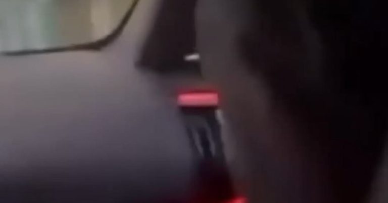 Fusillade à Mistral à Grenoble : un mort et trois blessés, vidéo de revendication en ligne.