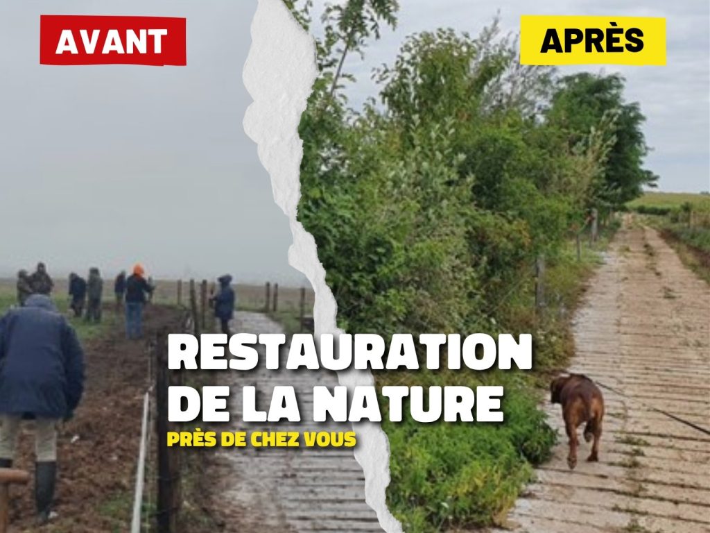 Des associations locales œuvrent pour la restauration de la nature dans leur région.