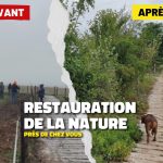 Des associations locales œuvrent pour la restauration de la nature dans leur région.