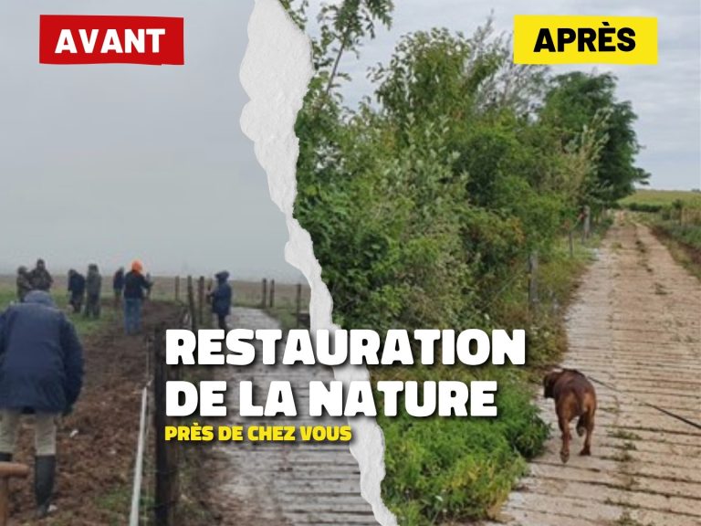 Des associations locales œuvrent pour la restauration de la nature dans leur région.