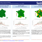 Diarrhée aiguë : activité faible signalée en Provence-Alpes-Côte d’Azur cette semaine