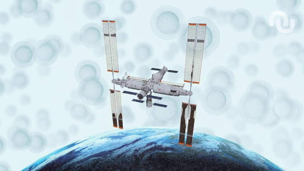 La Chine envoie des embryons humains dans l’espace pour des recherches scientifiques.