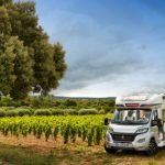 Trigano annonce un bilan solide, envisageant rachats d’actions et acquisitions.