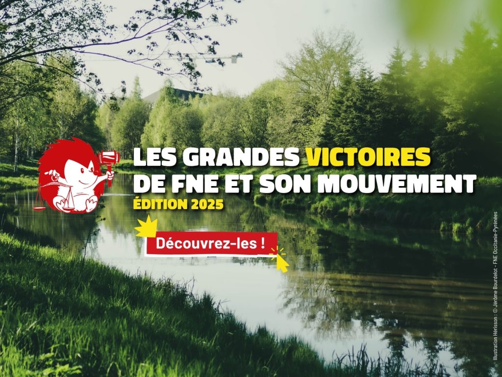 Justicier·es de la Terre : Victoires des ONG sur la protection de l’environnement en 2025