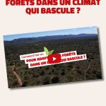 Adaptation des forêts face au changement climatique : témoignages d&rsquo;experts forestiers.