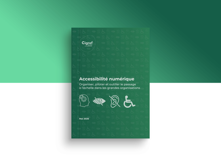 Accessibilité numérique : stratégies pour les grandes organisations en France