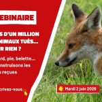 Plus d&rsquo;un million d&rsquo;animaux tués chaque année : enquête sur les pratiques en France.