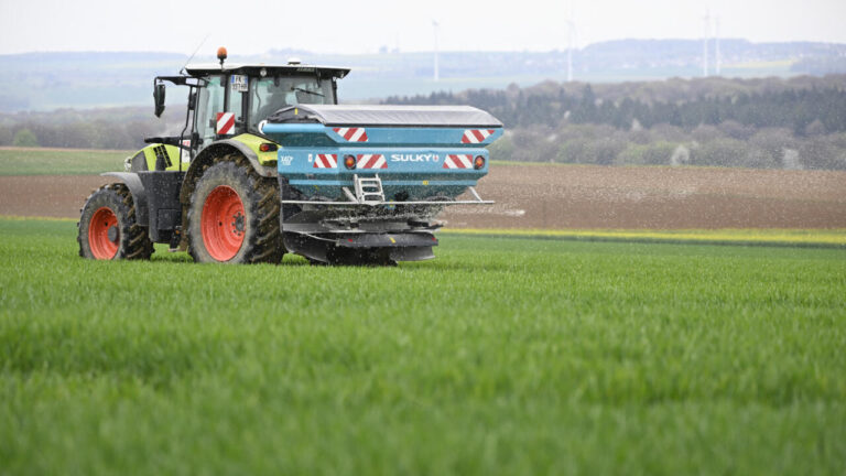 Le Sénat approuve la réintroduction de l’acétamipride, pesticide interdit.