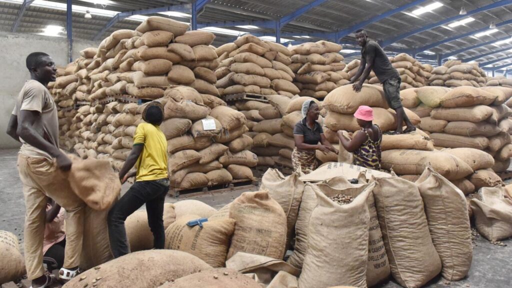 La Chine facilite l’importation de noix de cajou d’Afrique pour renforcer le commerce.