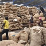La Chine facilite l&rsquo;importation de noix de cajou d&rsquo;Afrique pour renforcer le commerce.