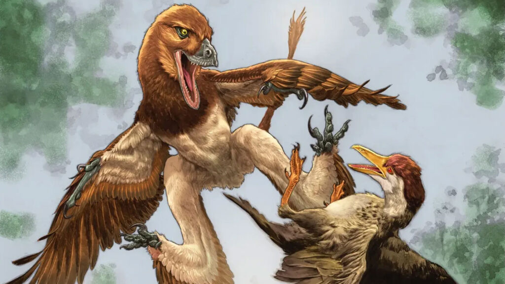 Un nouveau fossile de dinosaure pourrait résoudre un mystère de meurtre ancien.