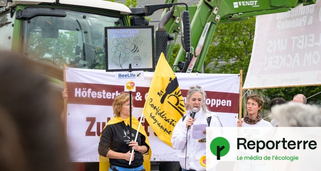 Nouveaux OGM : des agriculteurs intensifient la pression avant un vote crucial.
