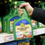 Loi d&rsquo;urgence agricole : la réautorisation de l&rsquo;acétamipride suscite des tensions en France