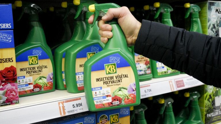Loi d’urgence agricole : la réautorisation de l’acétamipride suscite des tensions en France