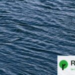 Mesures de protection des océans jugées insuffisantes face à leur dégradation croissante