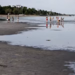 La Hongrie face à la crise : le lac de Velence en danger de disparition.