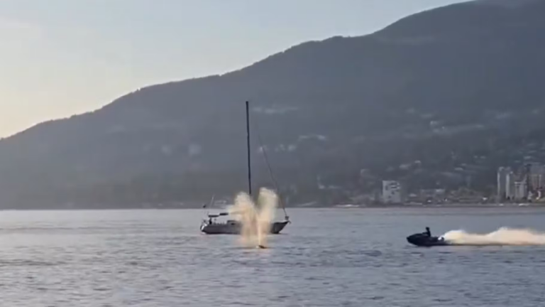 Un jet ski percute une baleine au Canada, soulevant des questions sur la sécurité maritime.