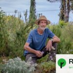 Des jardins sans gazon : des solutions durables adoptées par des collectivités en France.