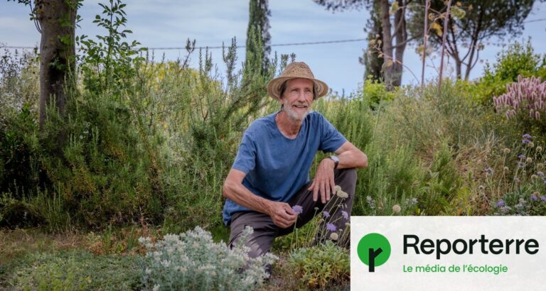 Des jardins sans gazon : des solutions durables adoptées par des collectivités en France.