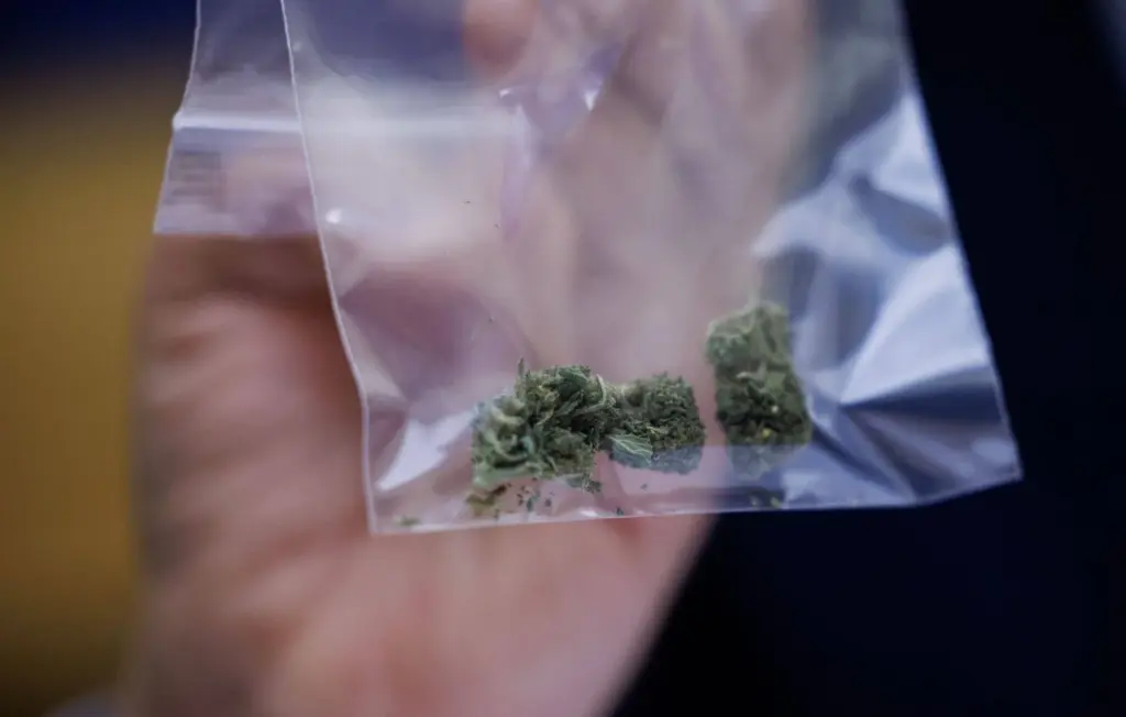 Quatre interpellations à Nice pour trafic de stupéfiants, blessure au visage et cannabis.
