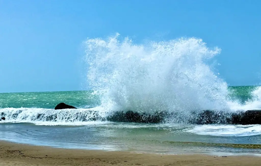 Des montagnes russes sur le thème de l’horreur installées en pleine mer par une entreprise de loisirs.