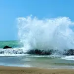 Des montagnes russes sur le thème de l’horreur installées en pleine mer par une entreprise de loisirs.
