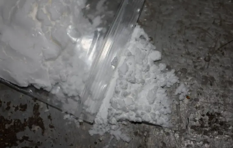 Bretagne : saisie de 13 kilos de cocaïne et arrestation de quatre trafiquants albanais.