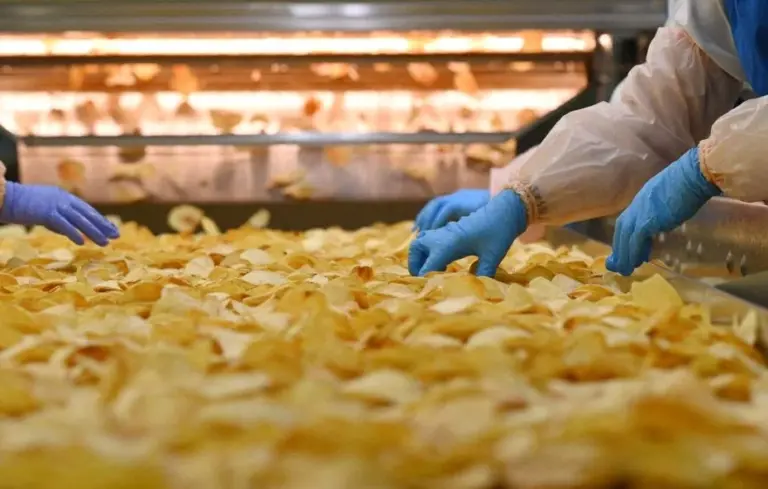 Canicule : L’usine Brets en Bretagne à l’arrêt face à une pénurie d’eau pour la production de chips.