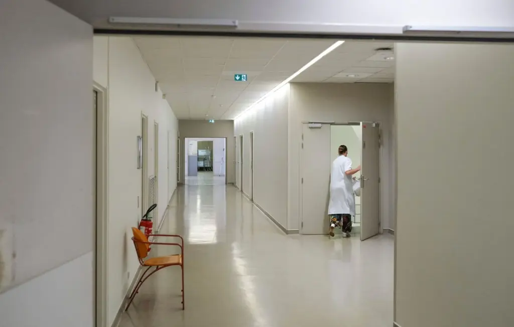 Cancers et maladies cardiovasculaires : principales causes de décès en France.