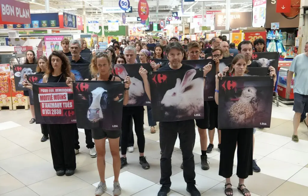 L214 intervient au Carrefour de France contre l’élevage intensif et ses pratiques.