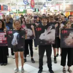 L214 intervient au Carrefour de France contre l&rsquo;élevage intensif et ses pratiques.