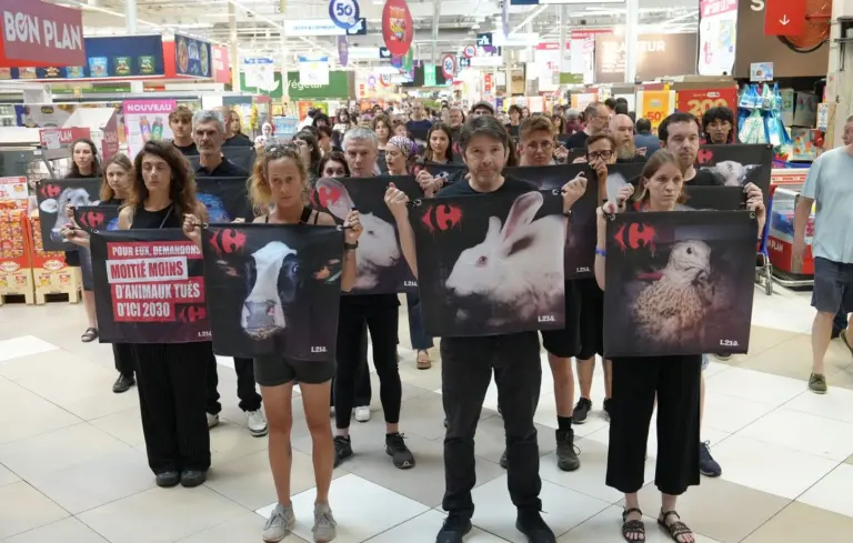 L214 intervient au Carrefour de France contre l’élevage intensif et ses pratiques.