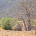 Les villages du Sénégal à explorer pour leur patrimoine culturel et naturel.