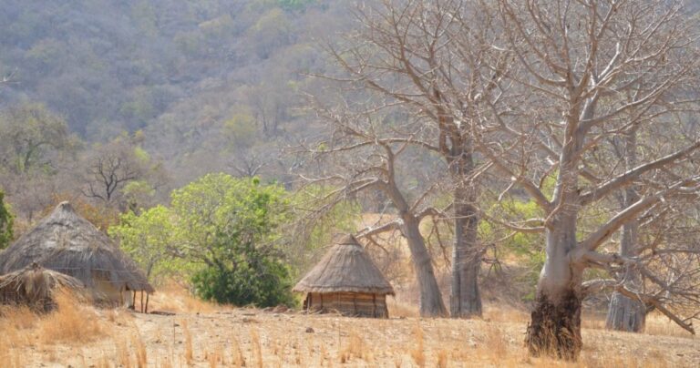 Les villages du Sénégal à explorer pour leur patrimoine culturel et naturel.