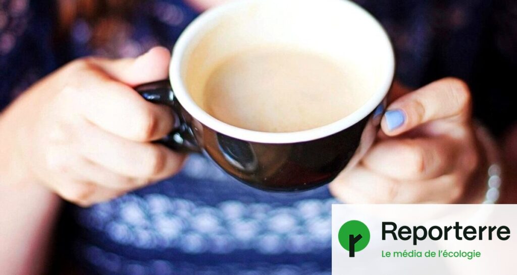 Une étude révèle que 20 % des cafés contiennent des résidus de pesticides.