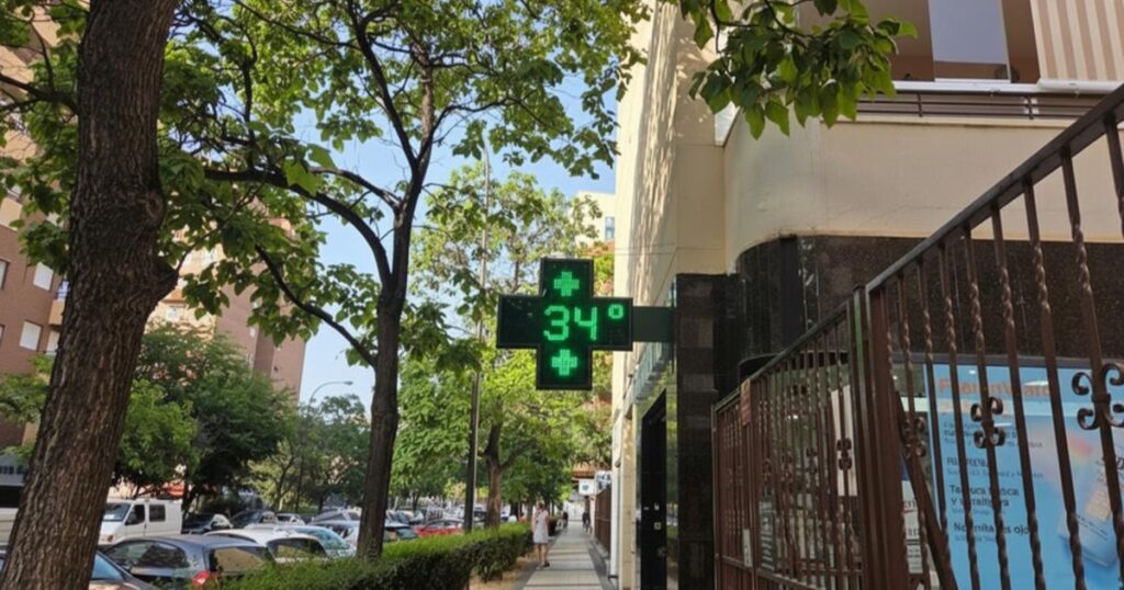 Canicule et vague de chaleur : hausse des hospitalisations observée dès les premiers jours.