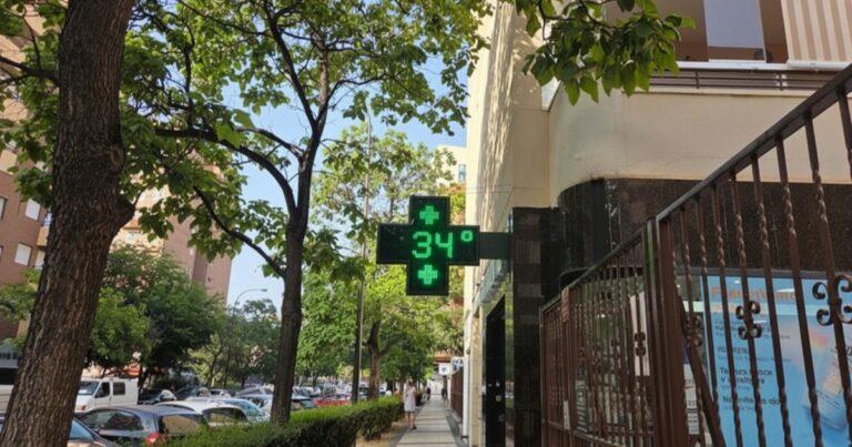 Canicule et vague de chaleur : hausse des hospitalisations observée dès les premiers jours.