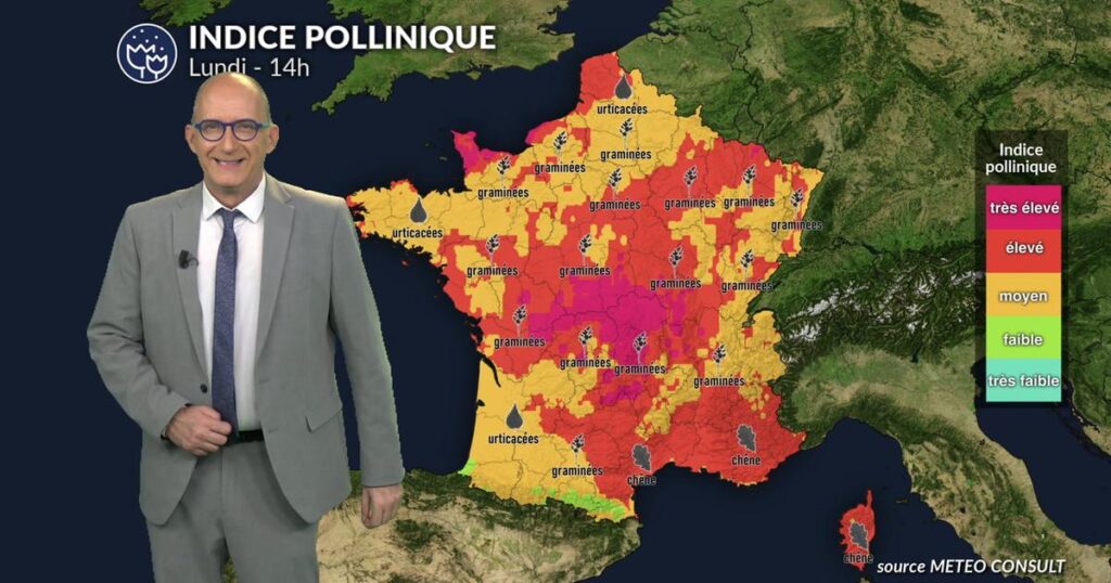 Pluies et orages de lundi : une possible réduction des pollens pour les allergiques.