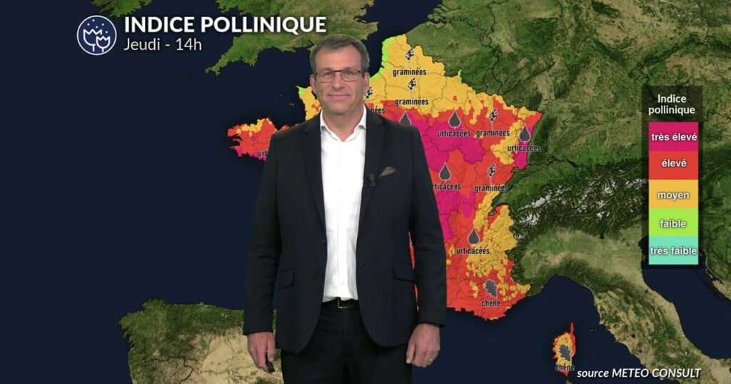 Pollens : indices polliniques très élevés pour les graminées et urticacées dans le sud de la France.