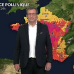 Pollens : indices polliniques très élevés pour les graminées et urticacées dans le sud de la France.