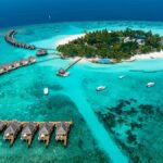 L’océan Indien : un espace de biodiversité menacé par les activités humaines.