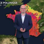 Alerte rouge aux pollens : graminées et urticacées saturent l&rsquo;air en France.